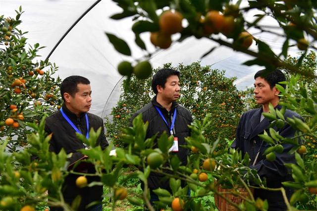 以优良作风凝聚决战决胜磅礴力量——2019年以习近平同志为核心的党中央贯彻执行中央八项规定、推进作风建设纪实