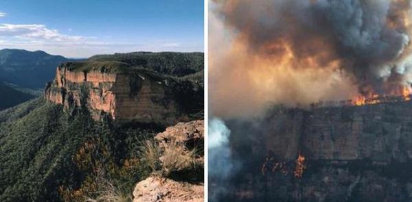 二十张澳洲大火前后对比照，摄影师拍下灰烬中的希望惹网友泪目