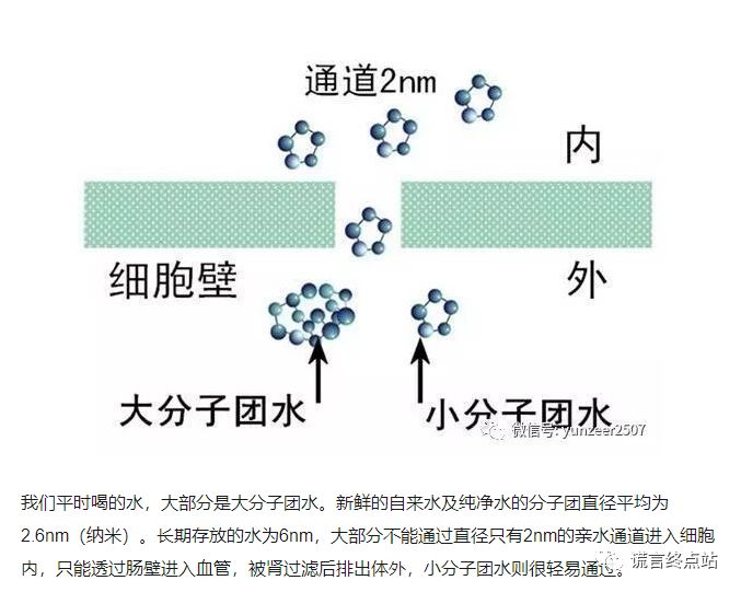 【智天百谎78】水灵子来了！大家来交智商税啦！